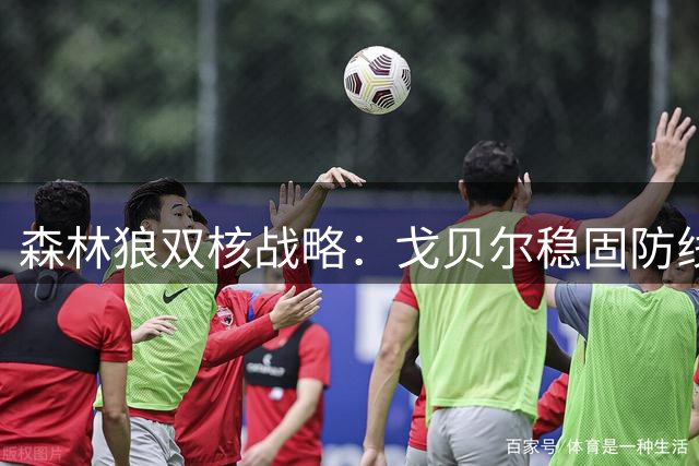 森林狼双核战略：戈贝尔稳固防线，鲍尔引领进攻